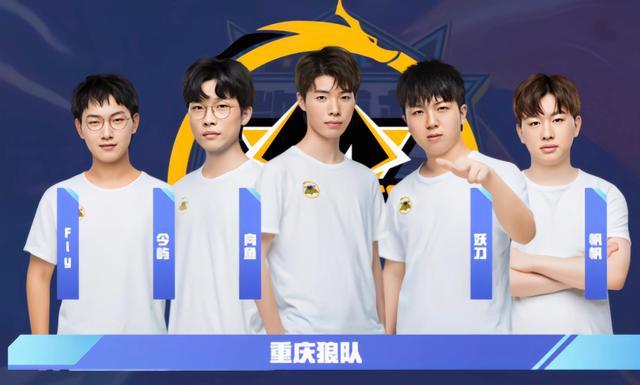 经验丰富的 经验丰富的