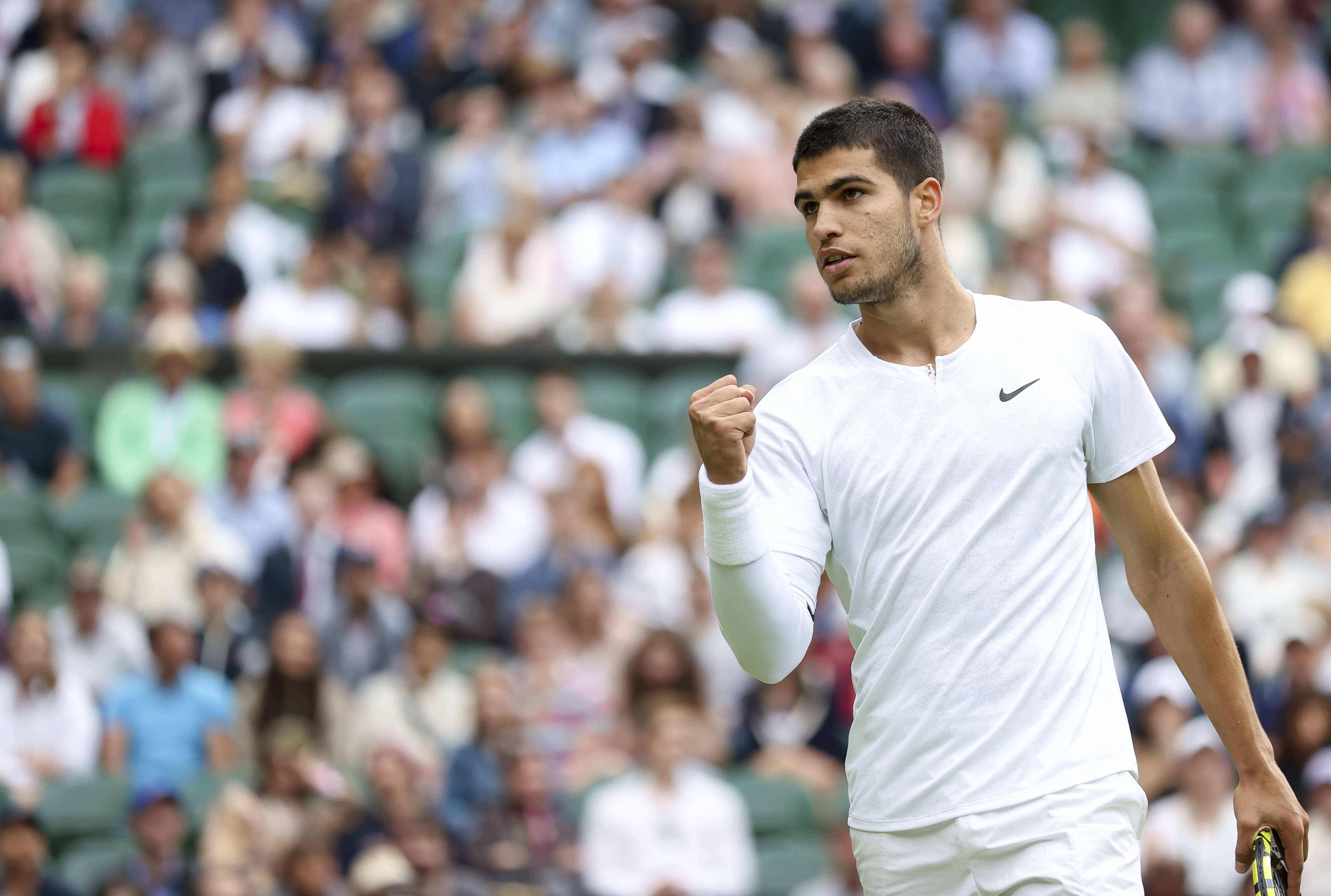 这使得罗齐 这使得罗齐