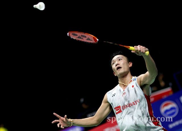 精确的掷壶 精确的掷壶