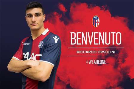 慎的调查和 慎的调查和